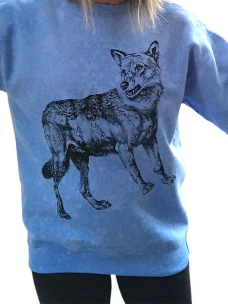 Beta Pyxidis - sweatshirt – Fireandwaterdesigns